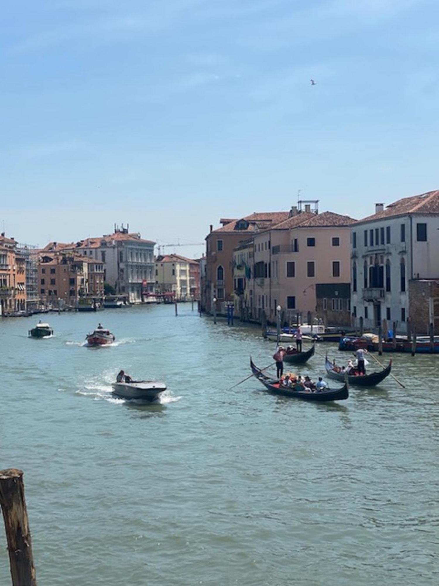 Palace Canal View By Wonderful Italy Venedig Exteriör bild